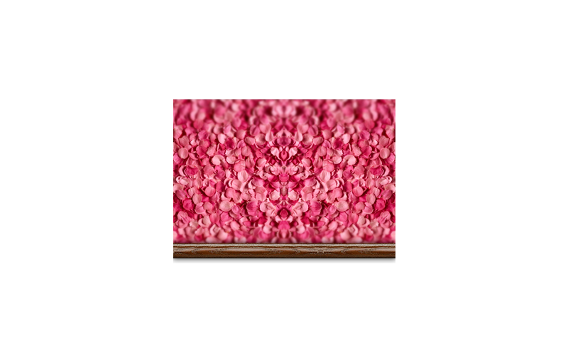 Diva Collection - Brunette In Pink