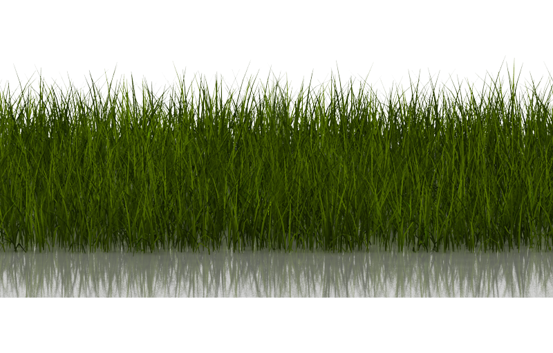 Grass Deep - ForTenCents