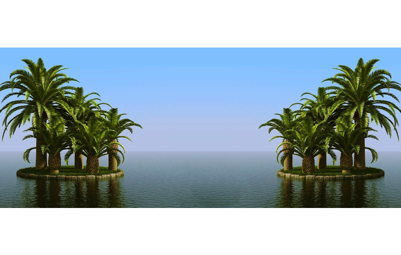 Palm Deep - Wild Date