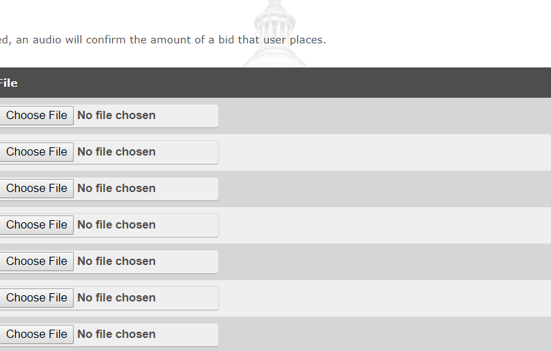 Audio Bid Confirmation — image 1