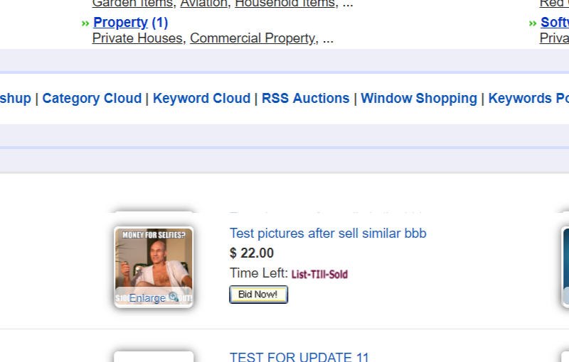 Buyers Portal System — image 1