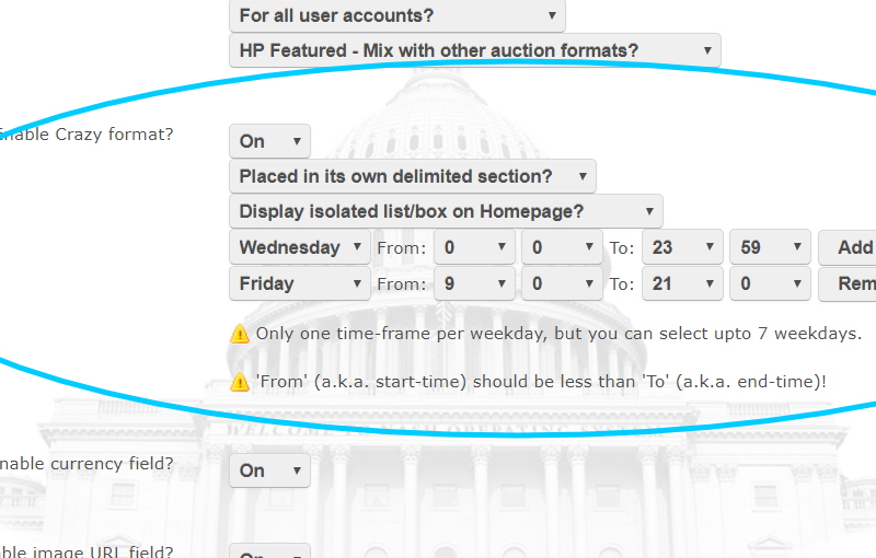 Crazy Auction Format — image 1