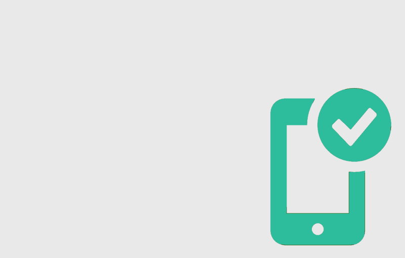 Phone Verification System