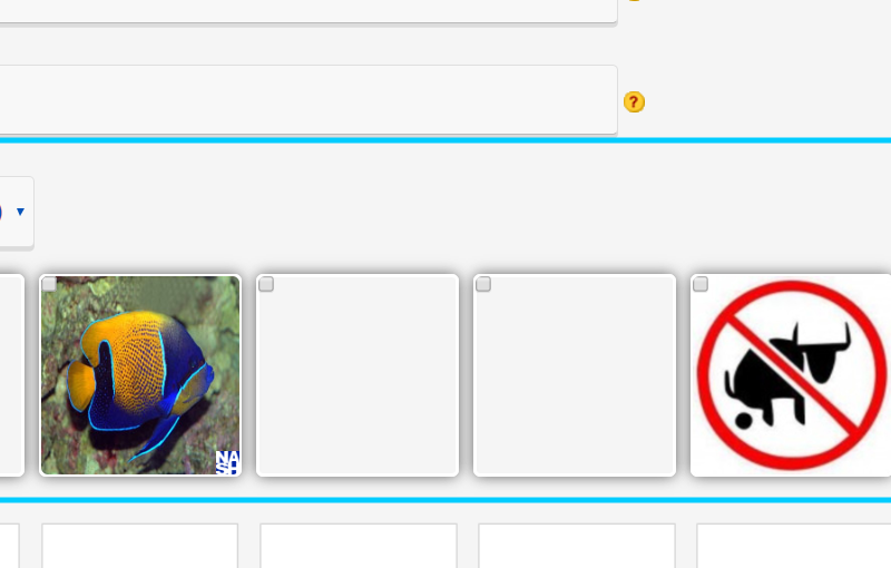 Picture Manager System — image 4