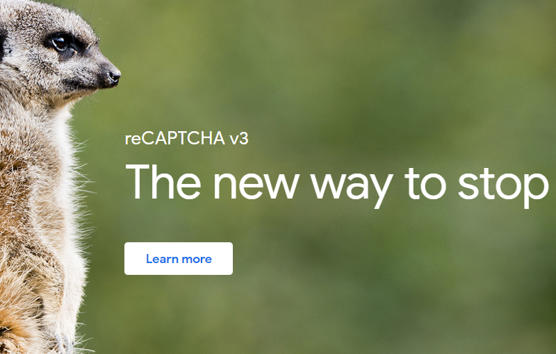reCAPTCHA Integration — image 3