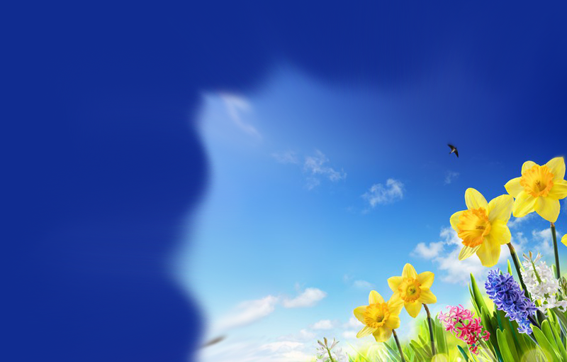 Spring Skin