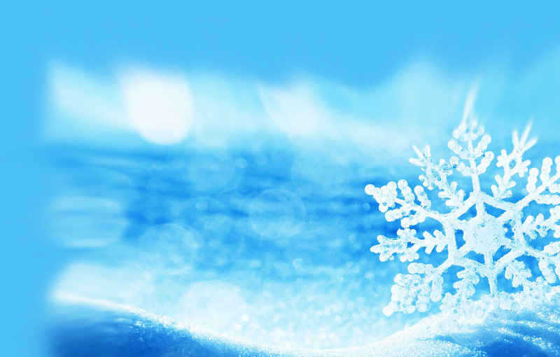 Winter Skin